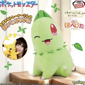 포켓몬스터 메챠모후굿토 호페피타 봉제 인형 치코리타