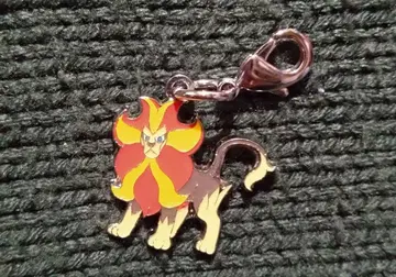 카엔진 메탈 참 포켓몬 센터 한정판