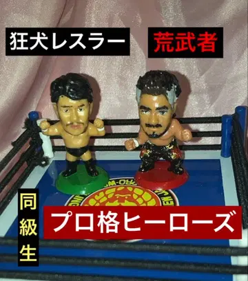 프로 격투 히어로즈 혼돈의 거친 무사 미친개 레슬러