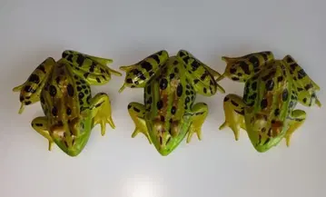 도쿄 도롱뇽 피규어 3체 세트