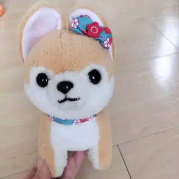 오렌지색 강아지 봉제 인형