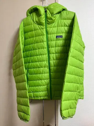 레어 Patagonia 다운 스웨터 후디