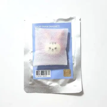 SEVENTEEN MINITEEN 트램 마그넷 정한