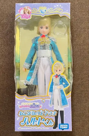 동경하는 왕자님 하루토 군 리카짱 보이프렌드