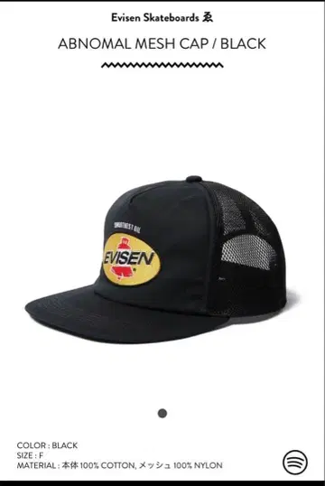 evisen 에비센 abnomal mesh cap black