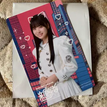 사쿠라자카46 마츠모토 카즈코 신참자 솔로 그림체 카드