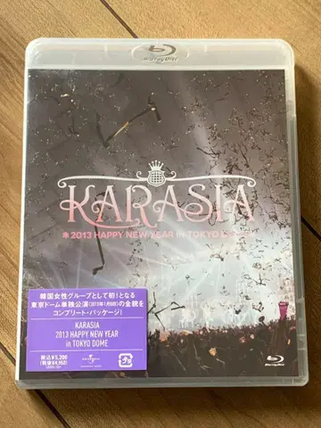 KARA 2013 HAPPY NEW YEAR in TOKYO DOME