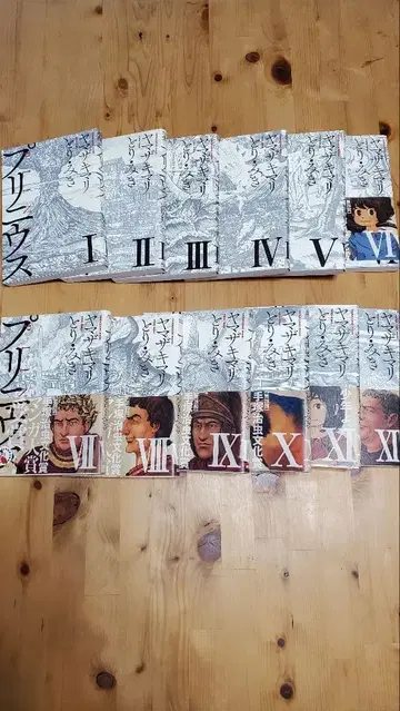 프리니우스 1~12권 전권