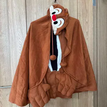 칩과 데일 데일 판초