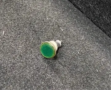 폴스미스 한쪽 귀걸이 페니 코인 그린