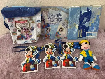 디즈니 바케이션 패키지