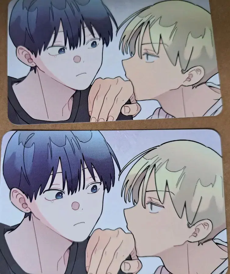 Bomtoon pop up home party pre-order benefit one-room assistant jo-nim poca wts