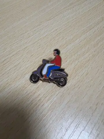 베트남 핀 배지 엑스포