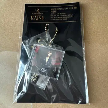 도모토 코이치 KOICHI DOMOTO RAISE CD풍 키링