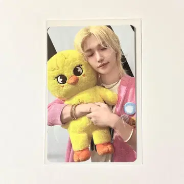 필릭스 트레이딩 카드 celebrate