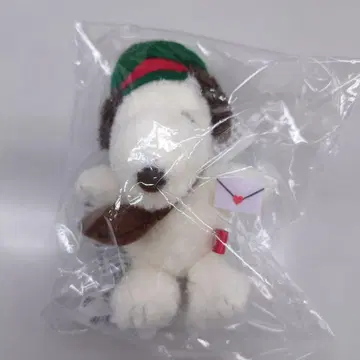 최저가 우체국 한정판 스누피 마스코트 키링 온라인 완판템