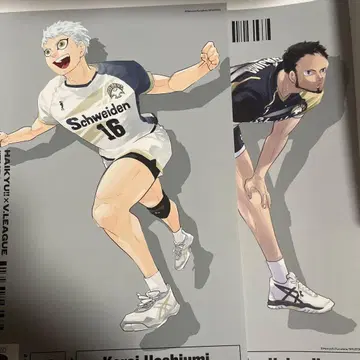 하이큐 V리그 V league 포스터 호시우미 헤이와지마