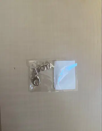 하나무라 소타 네임 키링