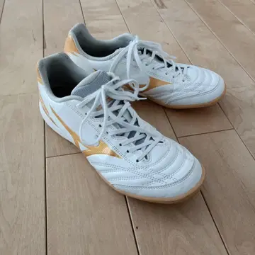 미즈노 모나르시다 NEO 풋살화