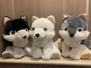 복슬복슬 늑대 미스터리 울트라 BIG 봉제 인형 전 3종