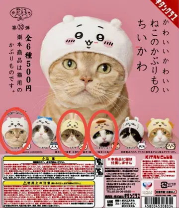 고양이 모자 치이카와 3개
