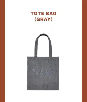 LE SSERAFIM 토트백 그레이 도쿄돔