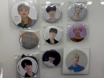 SEVENTEEN 호시 캔뱃지 9개 세트