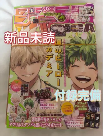 히로아카 REBORN! 점프 GIGA SPRING 2024 새상품 미개봉