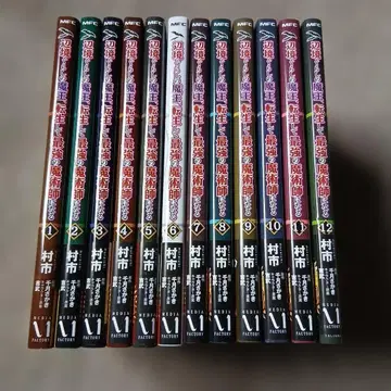 변방 생활 마왕, 최강 마술사로 환생하다 1~12 무라이치