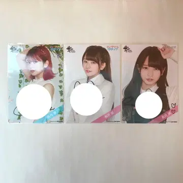 라스트 아이돌 나가츠키 미도리 브로마이드 친필 사인 3점 낱개 판매 불가