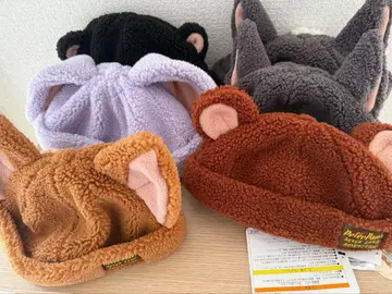 판타지 스프링스 로스트 키즈 팬캡 컴플리트 세트