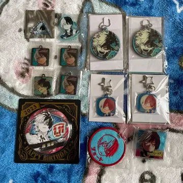 나의 히어로 아카데미아 토도로키 쇼토 키링 외