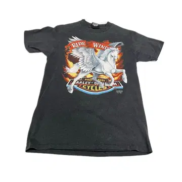 Harley-Davidson Ride With Wind Tee 3759