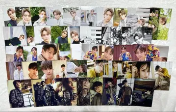 하시모토 쇼헤이 브로마이드 세트