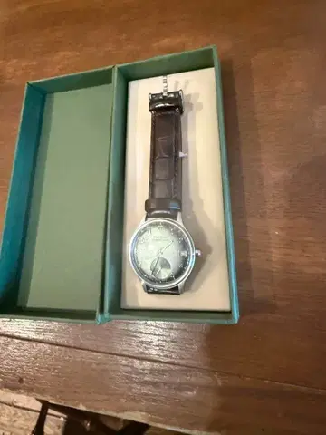 The STAC 수동 와인딩 시계 실버/브라운