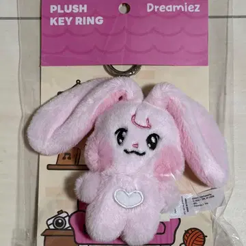 NCT DREAM dreamiez jaemin 제민 키링