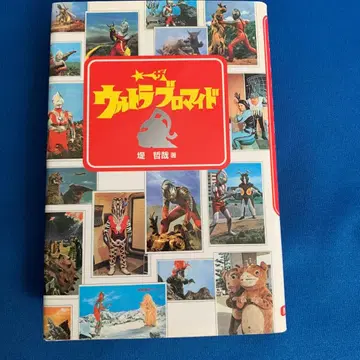 더 울트라 브로마이드