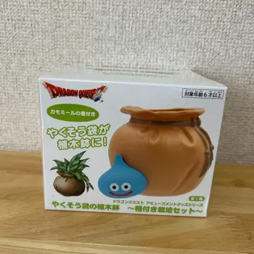 드래곤 퀘스트 약초 주머니 화분 카모마일