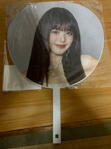 IVE 원영 Wonyoung 부채 도쿄돔