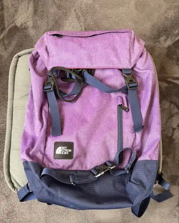 THE NORTH FACE 백팩
