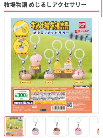 목장 이야기 메지루시 액세서리