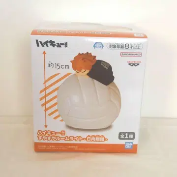 하이큐 스야스야 룸 라이트 히나타 쇼요