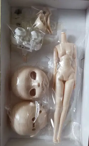 풀립 Pullip Make it own Natural Skin