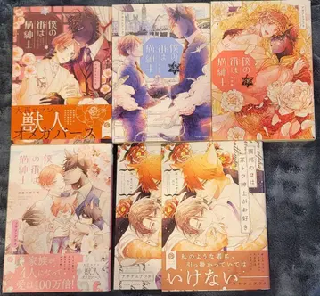 나의 차례는 고양이 신사