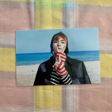 BTS 사전 녹화 사진 SPRING DAY 봄날 트레이딩 카드 태현