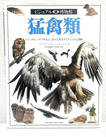 비주얼 박물관 맹금류