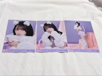 노구치 이오리 고양이 의상 브로마이드