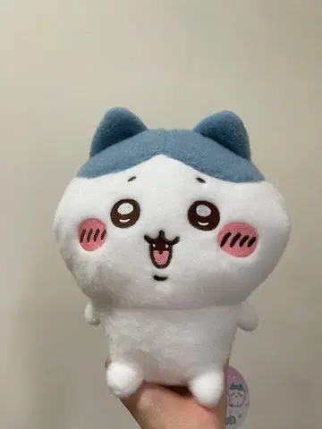 치이카와 (먼작귀) 하치와레 봉제 인형 시푸와