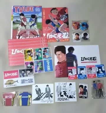 100M 굿즈 아크릴 스탠드, 포스트잇, 설정 자료집, 캔 배지