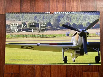 2025년 달력 날개와 초원